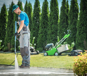 garden cleaning