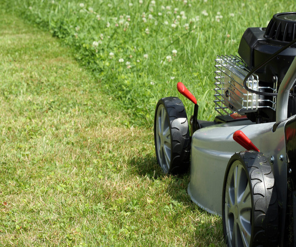 Garden Cleaning C&L Crystal Cleaning Services